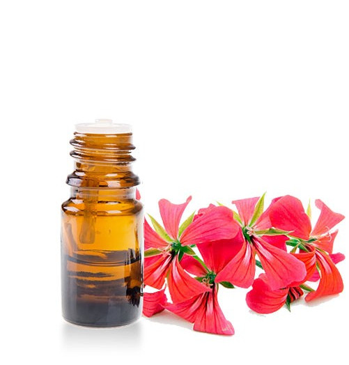 Géranium - HE - 10ml