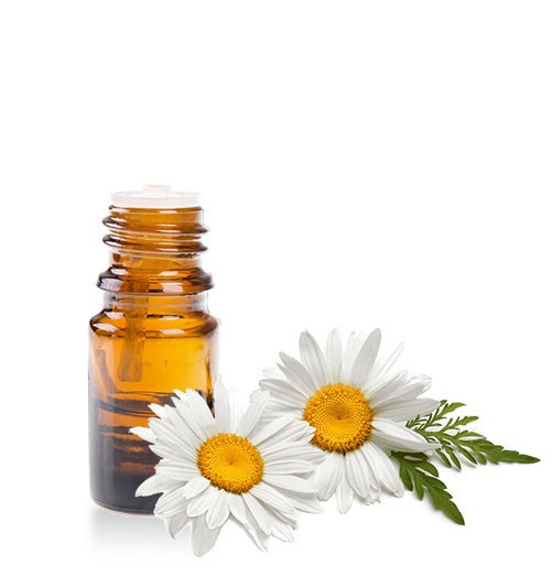 Camomille - HE - 10ml