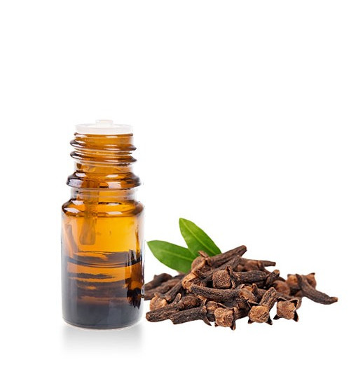Clou de girofle - HE - 10ml